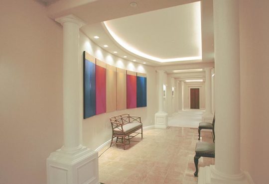 Image of Product Tokistar – Advantage