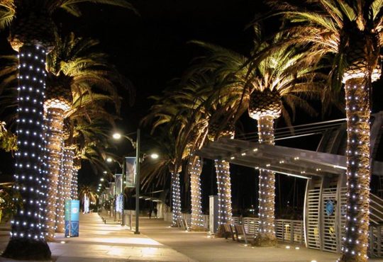 Image of Product Tokistar – Lightstrings