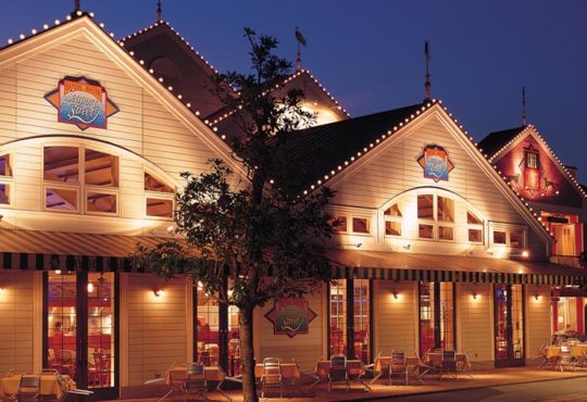 Image of Product Tokistar – Exhibitor